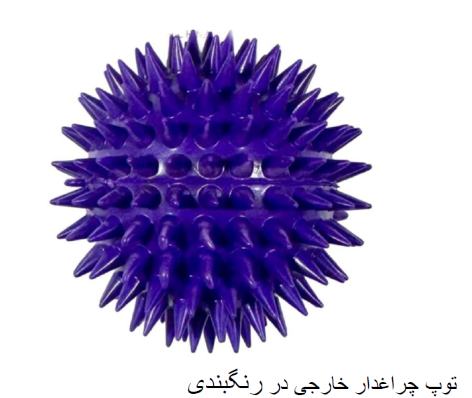توپ چراغدار اسباب بازی سگ و گربه  خارجی در رنگ بندی های مختلف با کدe138