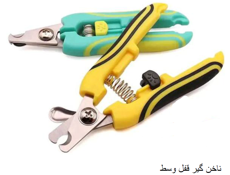 انواع ناخون گیر سگ و گربه خانگی